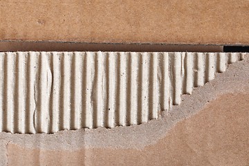 Image showing Torn piece of cardboard