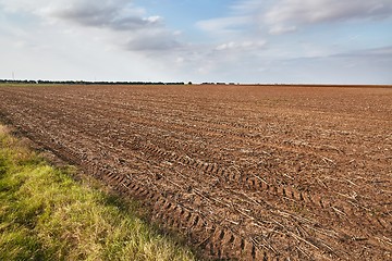 Image showing Agircutural field in late sunlight