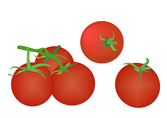 Image showing Tomatoes on White