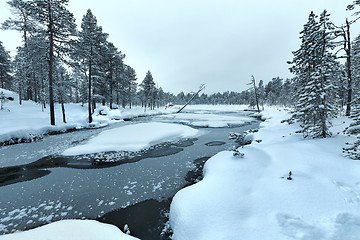 Image showing Winter Snowy Landscape