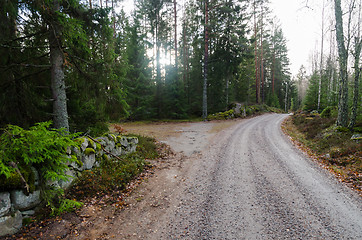 Image showing Gravel road through the woods