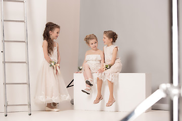 Image showing Little pretty girls with flowers dressed in wedding dresses