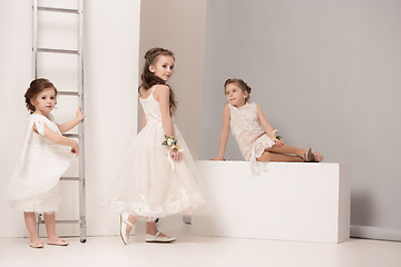 Image showing Little pretty girls with flowers dressed in wedding dresses