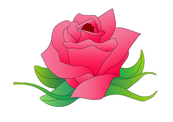 Image showing Pink Rose