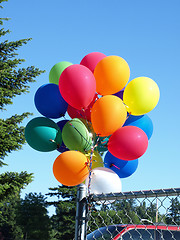 Image showing Colorful Balloons