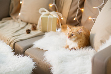 Image showing red tabby cat on sofa with christmas gift at home