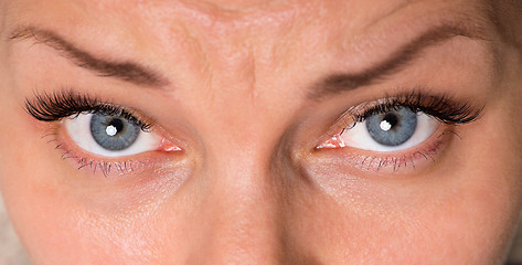 Image showing Face woman with eyes and eyelashes