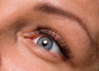 Image showing Face woman with eyes and eyelashes