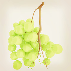 Image showing Healthy fruits Green wine grapes isolated white background. Bunc