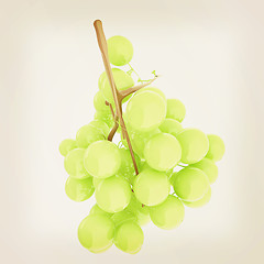 Image showing Healthy fruits Green wine grapes isolated white background. Bunc