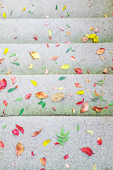 Image showing Autumn leaves on concrete stairs as backgrounds
