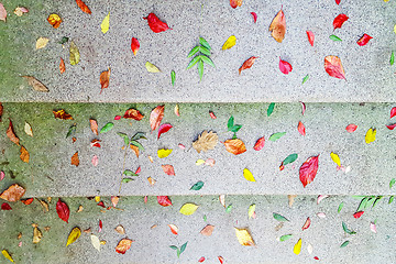 Image showing Autumn leaves on concrete stairs as backgrounds