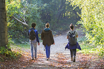 Image showing Young people walking on path in the forest