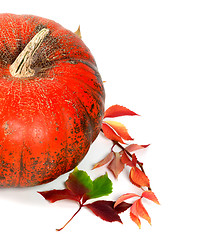 Image showing Red ripe pumpkin and multicolor autumn grapes leaves