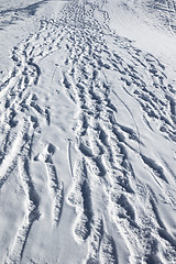 Image showing Footprints on snow