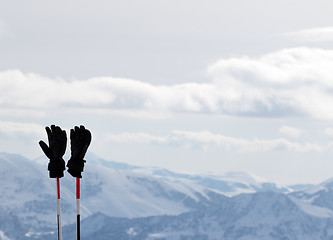 Image showing Black gloves on ski poles and snow winter mountains