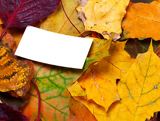 Image showing Autumn leafs with empty card
