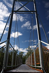 Image showing Bridge in nature