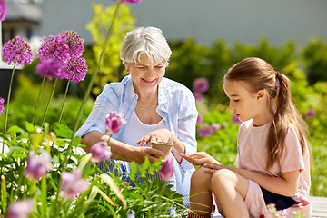 Image showing grandmother and girl seeding flowers at garden