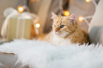 Image showing red tabby cat on sofa with christmas gift at home