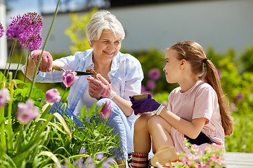 Image showing grandmother and girl planting flowers at garden