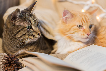 Image showing two cats lying on sofa with book at home