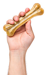 Image showing Hand with dog bone