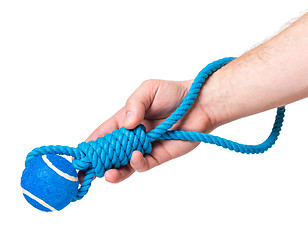 Image showing Hand with dog toy