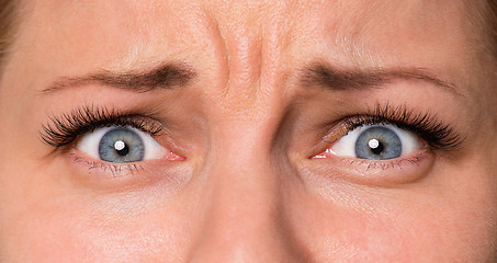 Image showing Face woman with eyes and eyelashes