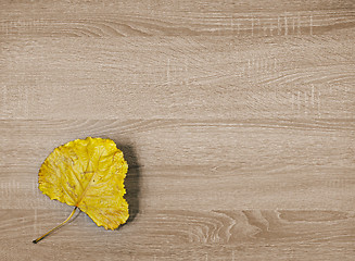 Image showing Yellow dry leaf on brown wooden texture background.