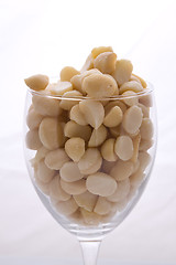 Image showing Macadamias