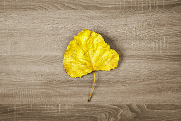 Image showing Yellow dry leaf on brown wooden texture background.