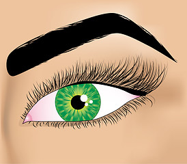 Image showing Woman green eye