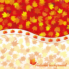 Image showing Autumn background with maple leaves