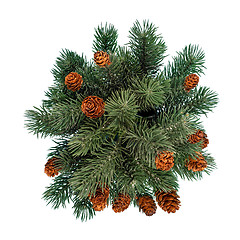 Image showing Green fir tree isolated on white background. Top view.