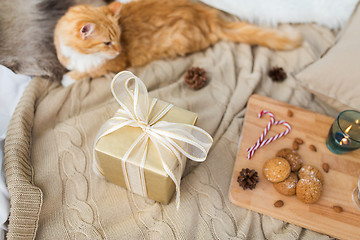 Image showing red cat lying in bed with christmas gift at home