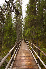 Image showing Wooden path