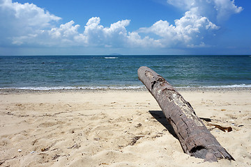 Image showing Landscape view of tropical beach 