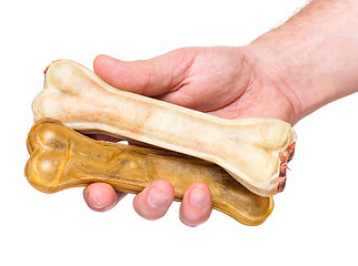 Image showing Hand with dog bone