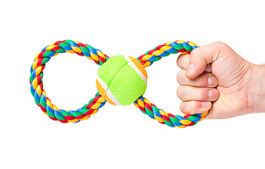 Image showing Hand with dog toy