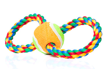 Image showing Dog toy on white