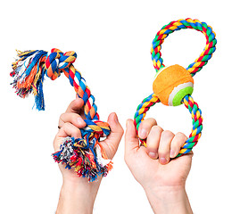 Image showing Hand with dog toy