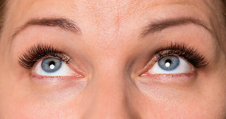 Image showing Face woman with eyes and eyelashes