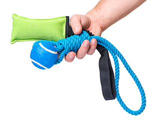 Image showing Hand with dog toy