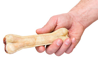 Image showing Hand with dog bone