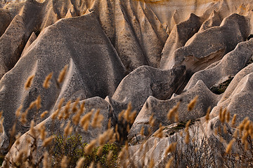 Image showing Rose valley near Goreme, Turkey