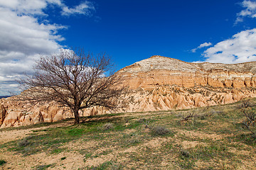 Image showing Fairy houses stone cliffs