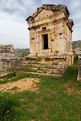 Image showing Ruins of ancient city, Hierapolis near Pamukkale, Turkey