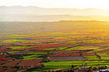 Image showing Beutiful sunset over colored agricultiral fields