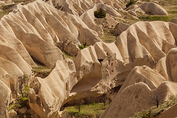 Image showing Rose valley near Goreme, Turkey